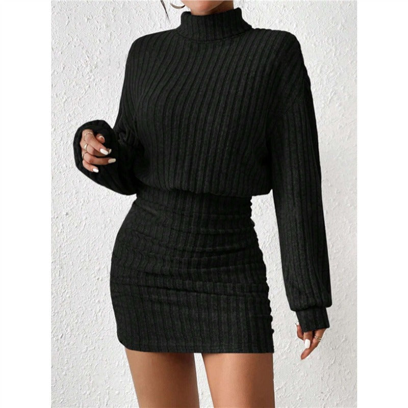 Damen Strickkleid Rollkragen Ärmel Norvielle