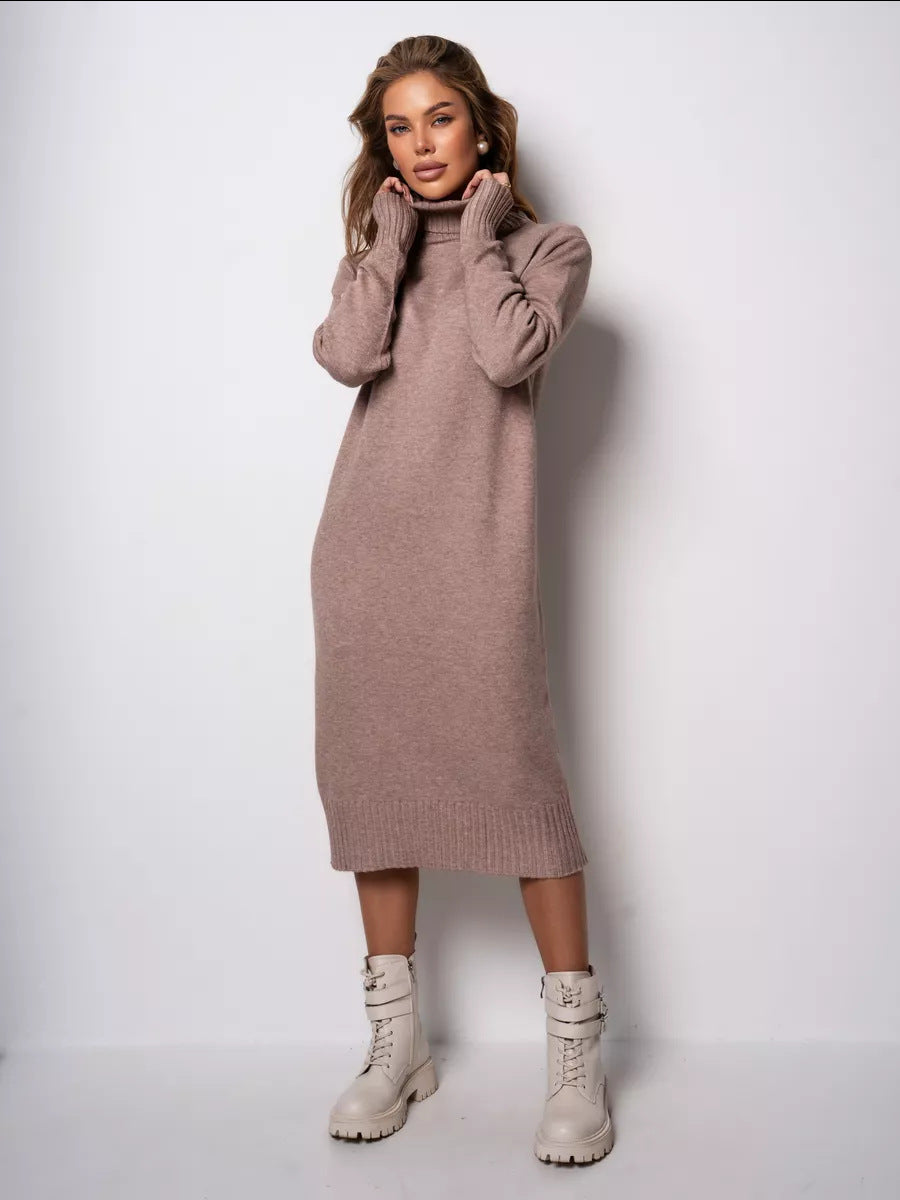 Damen Strickkleid Rollkragen Lässiger Schnitt Norvielle