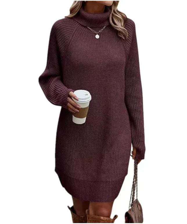 Damen Gestricktes Sweatkleid Mit Kragen
