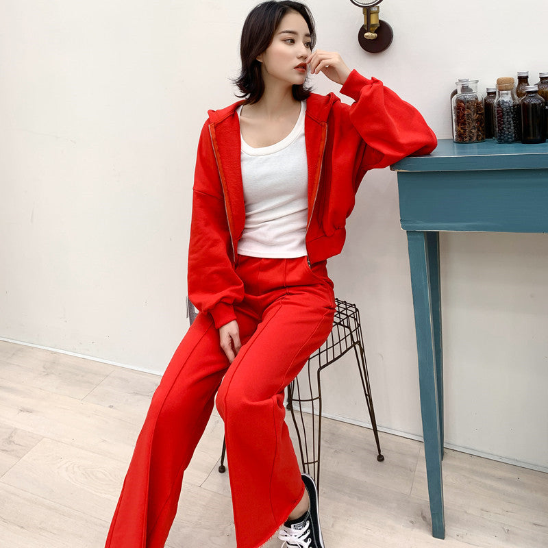 Damen Sportanzug-Set Kapuzenjacke Hose Bequem