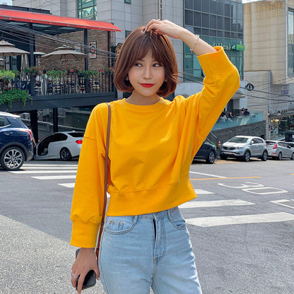Damen Gestreifter Cropped Pullover Ballonärmel Norvielle