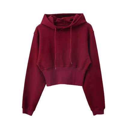 Damen Cropped Kapuzenpullover Norvielle