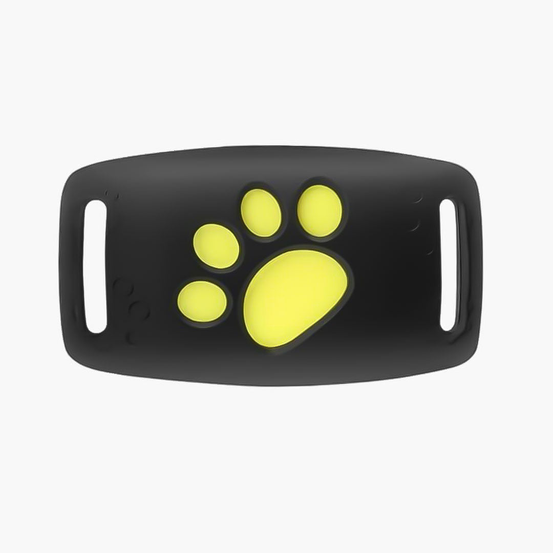 GPS Katzenhalsband Echtzeit-Tracking Satellitentechnologie - Norvielle