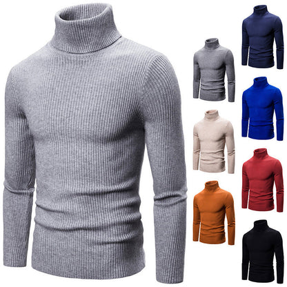 Damen Rollkragenpullover Feinstrick Rippenmuster Beige