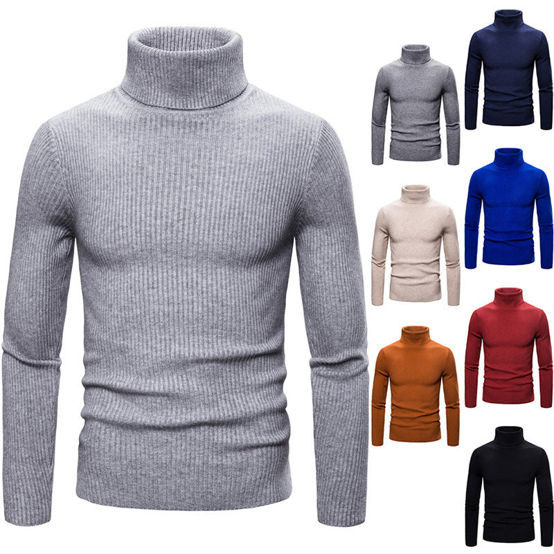 Damen Rollkragenpullover Feinstrick Rippenmuster Beige - Norvielle