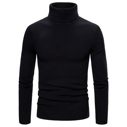 Damen Rollkragenpullover Feinstrick Rippenmuster Beige