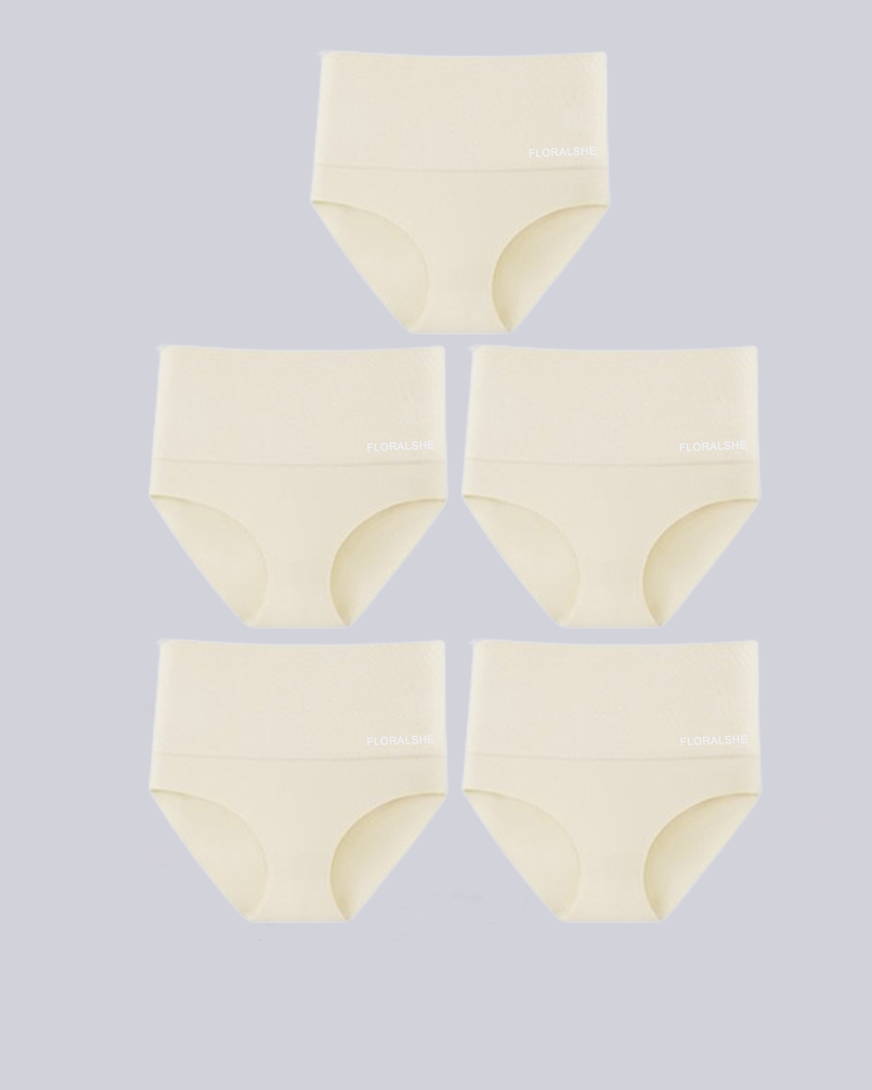 Damen Slips Hoch Taille 5er Pack Bauchkontrolle