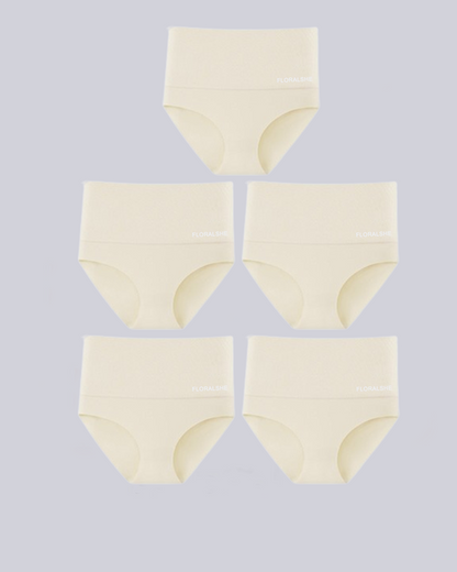 Damen Slips Hoch Taille 5er Pack Bauchkontrolle