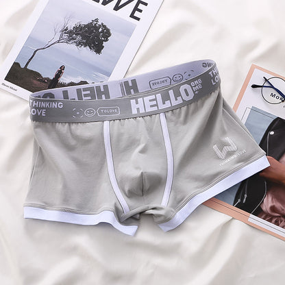 Herren Boxershorts Baumwolle Weich Beige