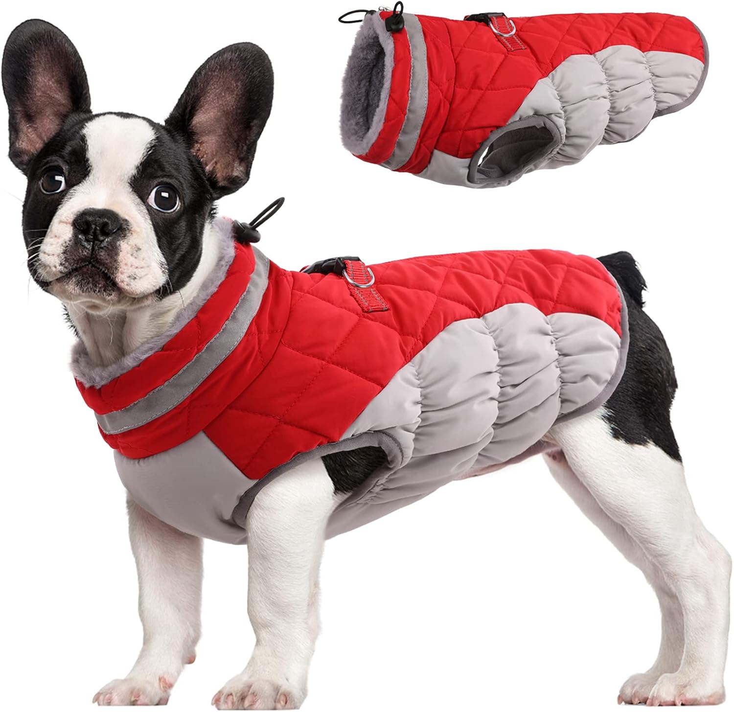 Wasserdichte Hundejacke Winter Reflektierend Fleece - Norvielle
