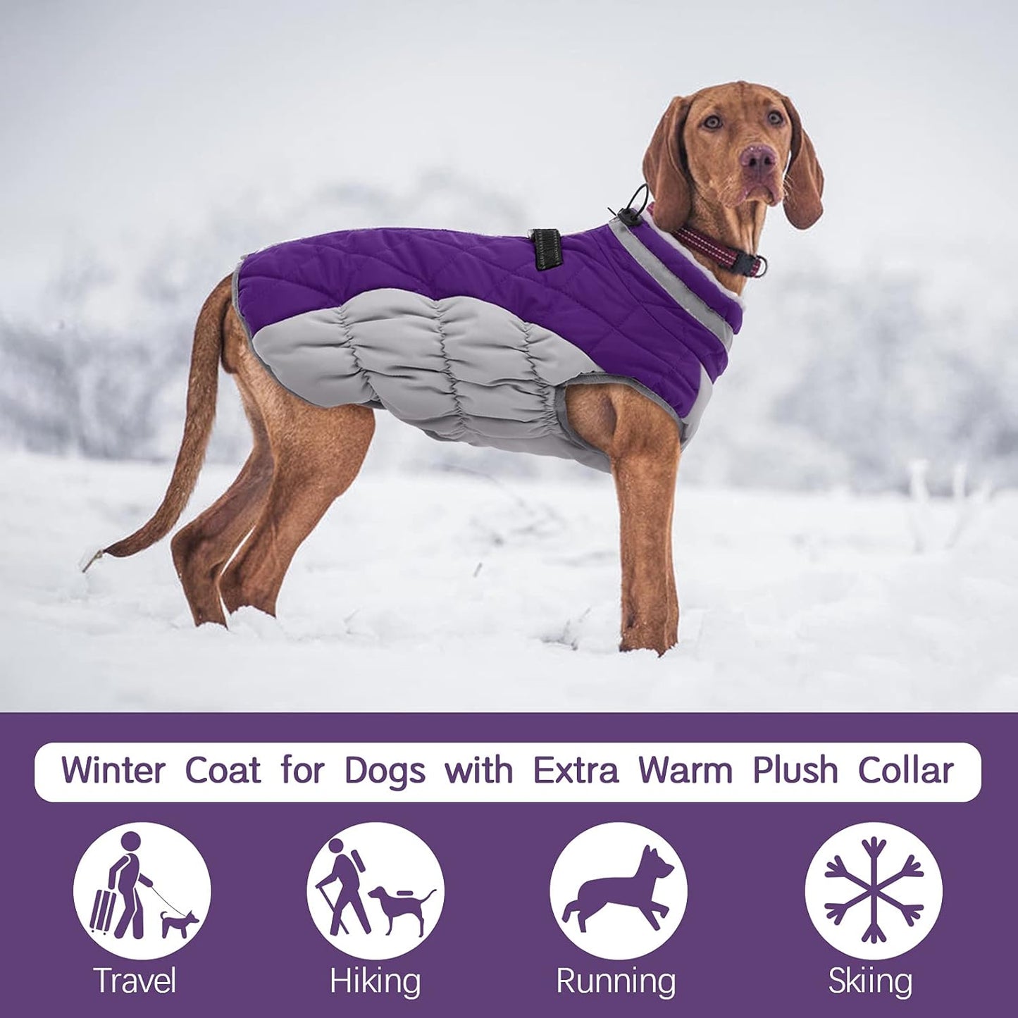Wasserdichte Hundejacke Winter Reflektierend Fleece