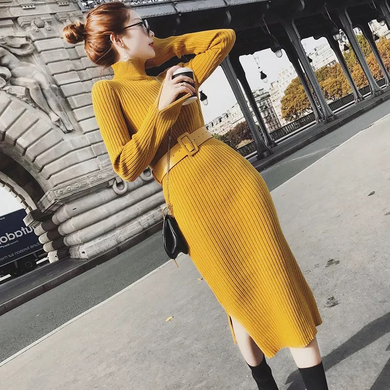 Damen Strickkleid mit Gürtel und hohem Kragen Norvielle -> Damen