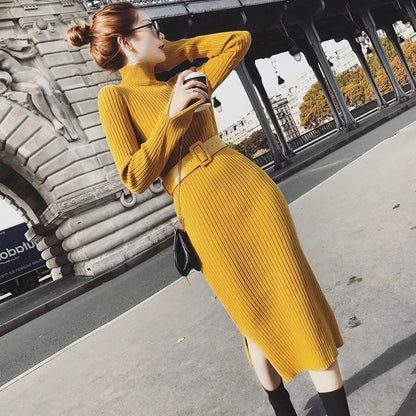 Damen Strickkleid mit Gürtel und hohem Kragen Norvielle -> Damen