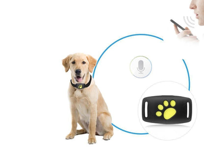 GPS Katzen-Tracker Echtzeit Ortung ohne Abonnement