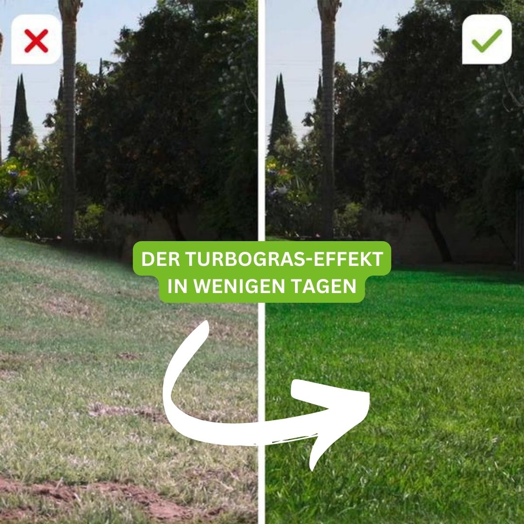 Turbogras Dünger Für Gesundes Rasenwachstum