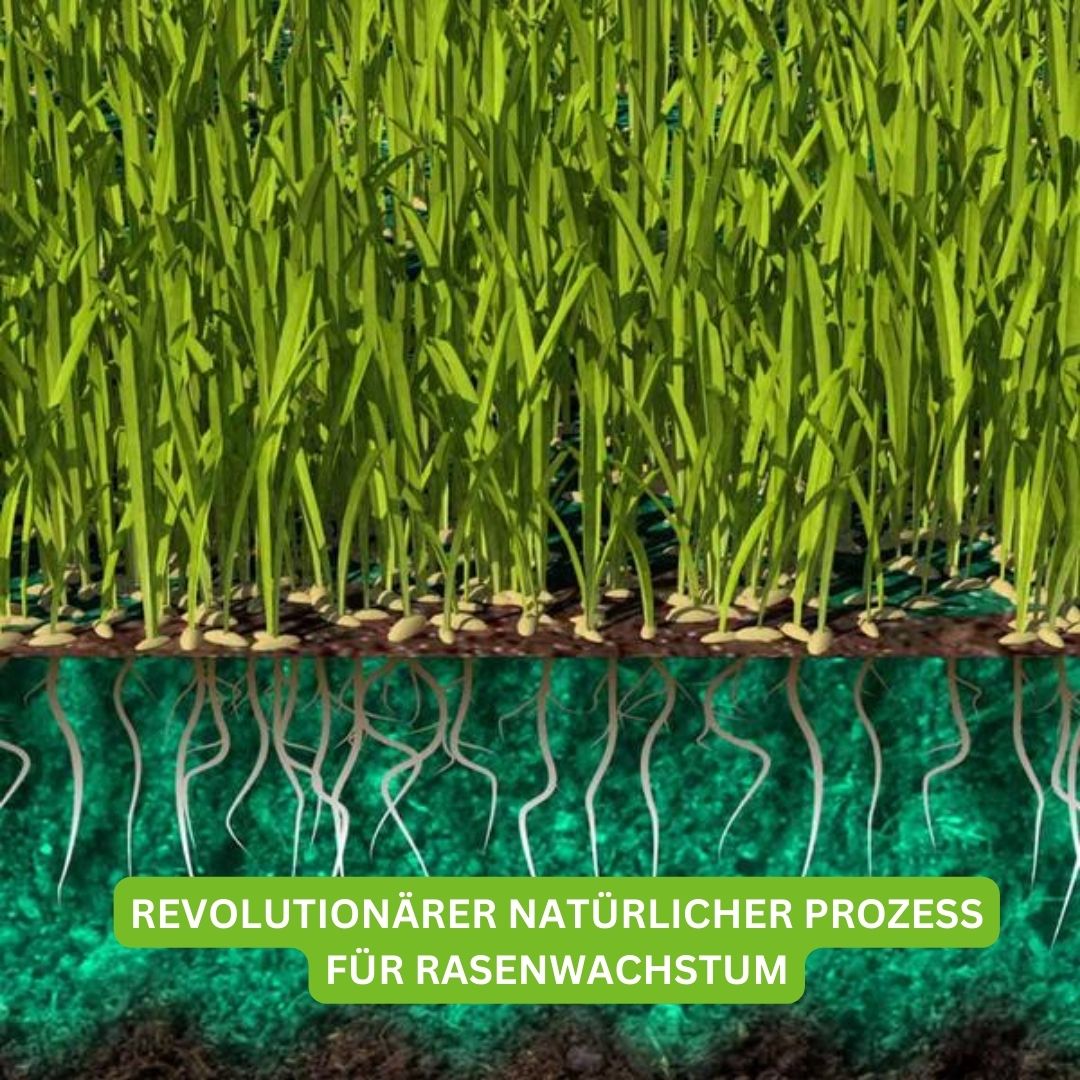 Turbogras Dünger Für Gesundes Rasenwachstum