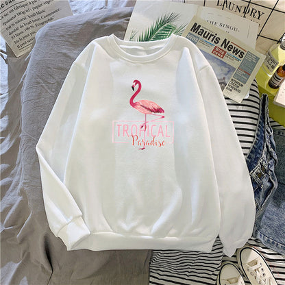 Damen Sweatshirt Norvielle Baumwolle
