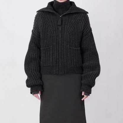 Damen Grobstrickpullover Hochkragen Mit Taschen Norvielle - Norvielle