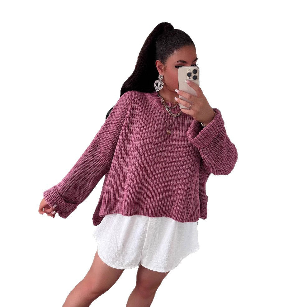 Damen Pullover Strukturiert Weit Norvielle