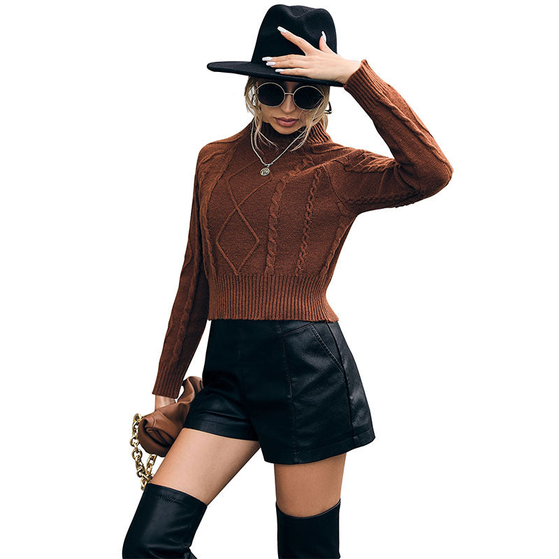 Damen Strickpullover Lässiger Schnitt Zopfmuster Norvielle