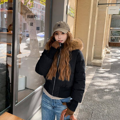 Damen Winterjacke Leicht Gesteppt Abnehmbare Kapuze Schwarz - Norvielle