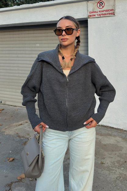 Damen Oversized Strickjacke Norvielle Hochkragen Reißverschluss