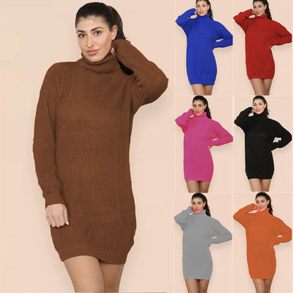 Damen Strickkleid Rollkragen Lässig Norvielle - Norvielle