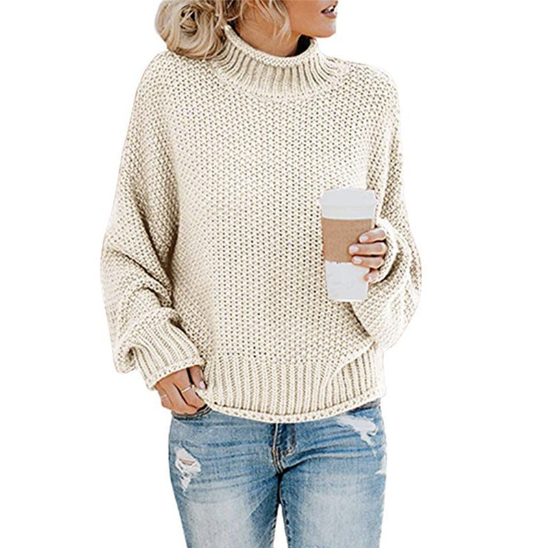 Damen Rollkragenpullover Grobgestrickt Lässiger Schnitt Norvielle