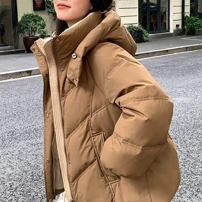 Damen Steppjacke Hochkragen Norvielle