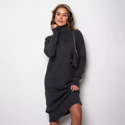Damen Strickkleid Rollkragen Lässiger Schnitt Norvielle
