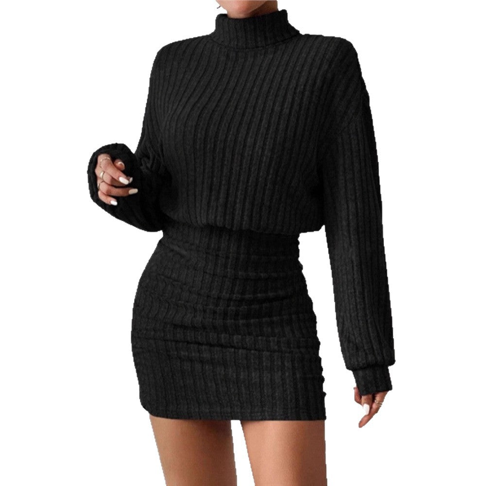 Damen Strickkleid Rollkragen Ärmel Norvielle