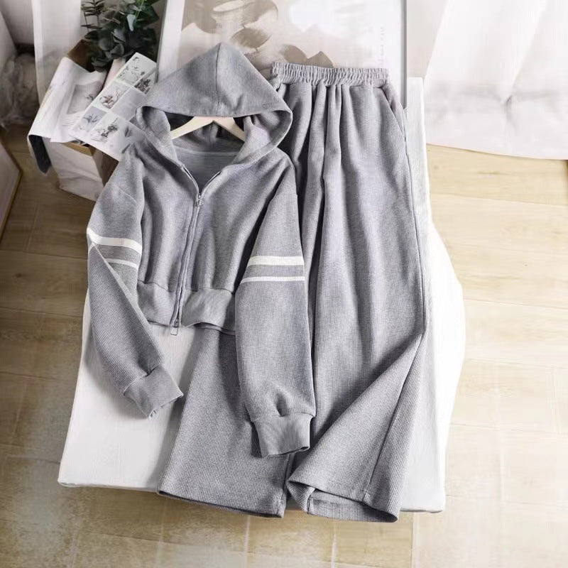Damen Hoodie Jogginghose Kombi mit Reißverschluss Norvielle
