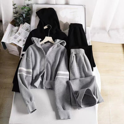Damen Hoodie Jogginghose Kombi mit Reißverschluss Norvielle - Norvielle