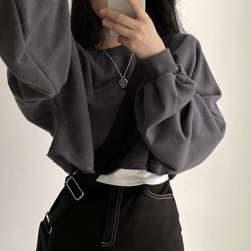 Damen Cropped Sweatshirt Norvielle Kapuzenlos