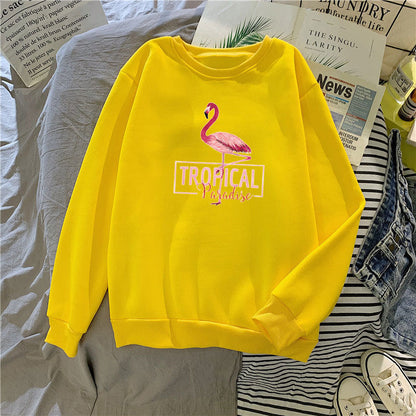 Damen Sweatshirt Norvielle Baumwolle