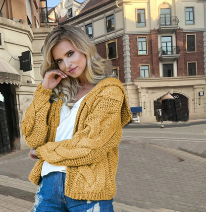 Damen Grobstrickjacke Kapuze Asymmetrisch Norvielle - Norvielle