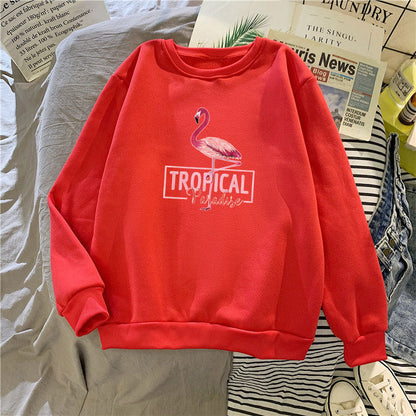 Damen Sweatshirt Norvielle Baumwolle