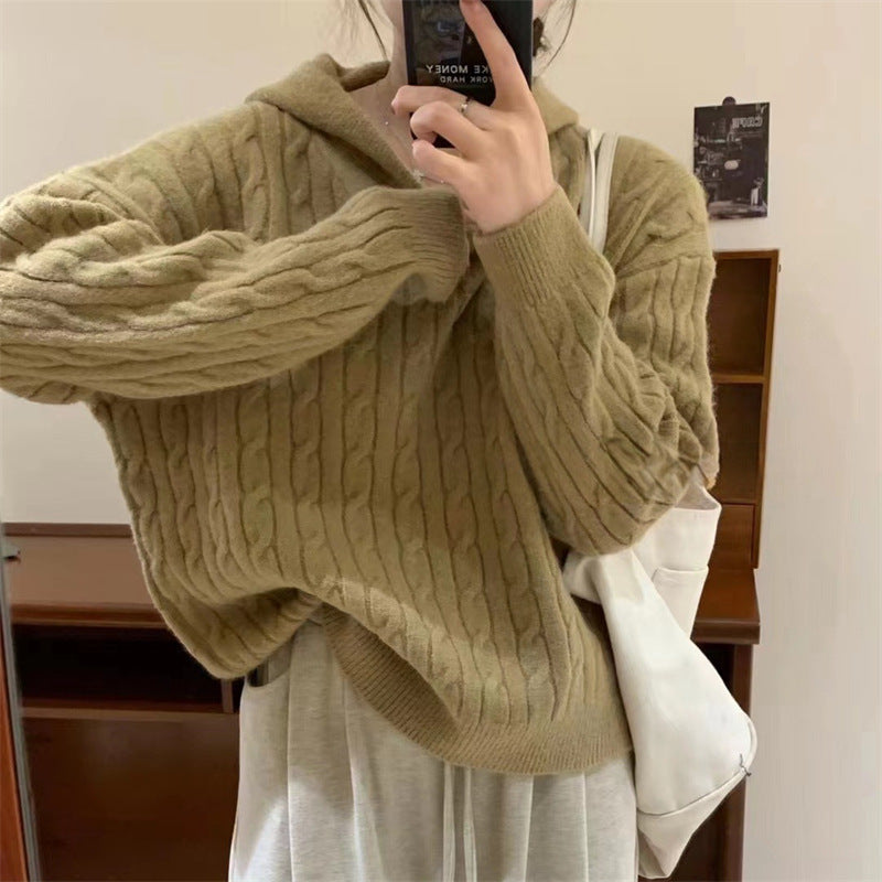 Damen Kuscheliger Strickpullover Kapuze Zopfmuster Norvielle