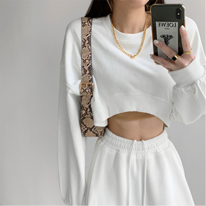 Damen Cropped Sweatshirt Norvielle Kapuzenlos