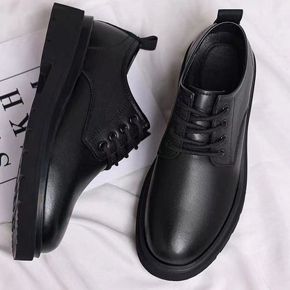 Herren Oxfordschuhe Leder Elegant