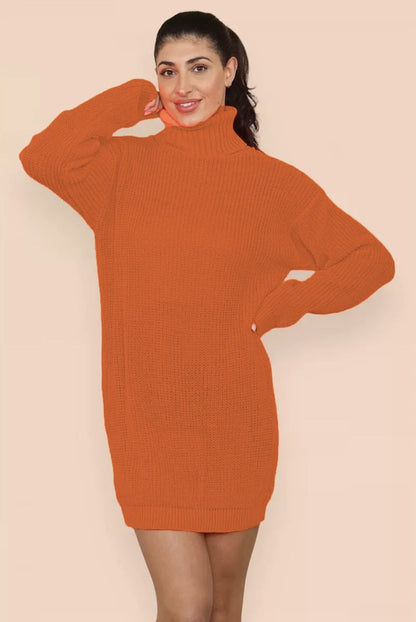 Damen Strickkleid Rollkragen Lässig Norvielle