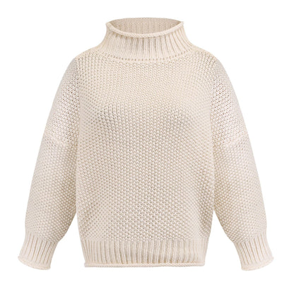 Damen Rollkragenpullover Grobgestrickt Lässiger Schnitt Norvielle