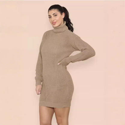 Damen Strickkleid Rollkragen Lässig Norvielle