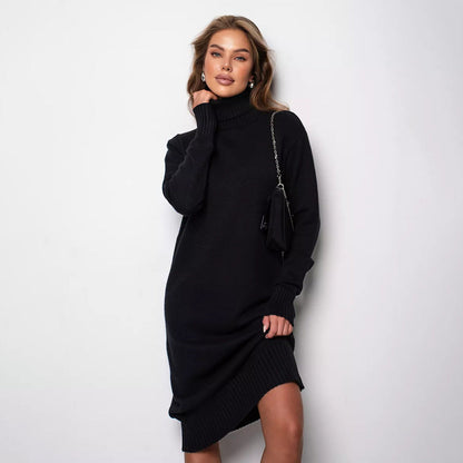 Damen Strickkleid Rollkragen Lässiger Schnitt Norvielle