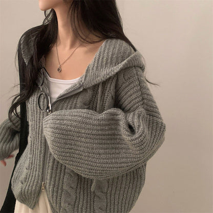 Damen Strickjacke Kapuze Dekorativer Zopfstrick Beige