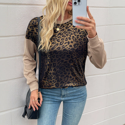 Damen Sweatshirt Leopardenmuster Kontrastärmel Norvielle
