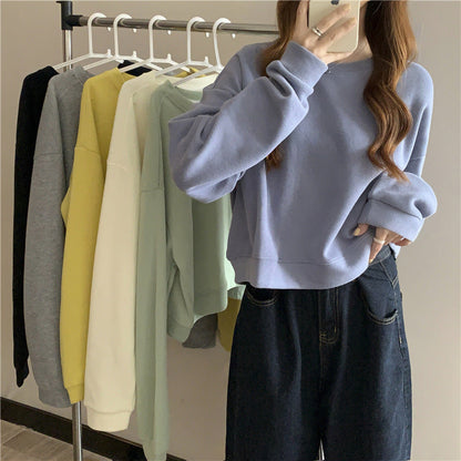 Damen Cropped Pullover Weicher Baumwollmix Rundhalsausschnitt Beige - Norvielle
