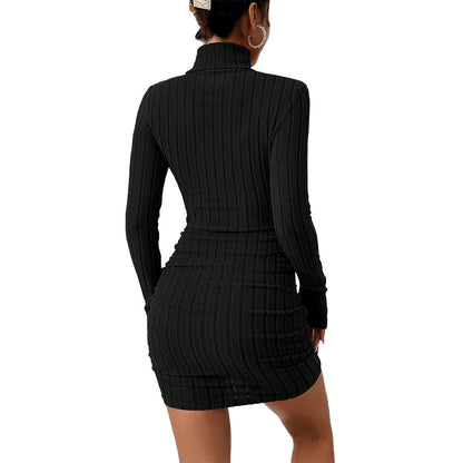 Damen Strickminikleid Langarm Stehkragen Norvielle