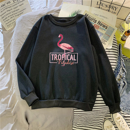 Damen Sweatshirt Norvielle Baumwolle - Norvielle