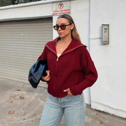 Damen Oversized Strickjacke Norvielle Hochkragen Reißverschluss